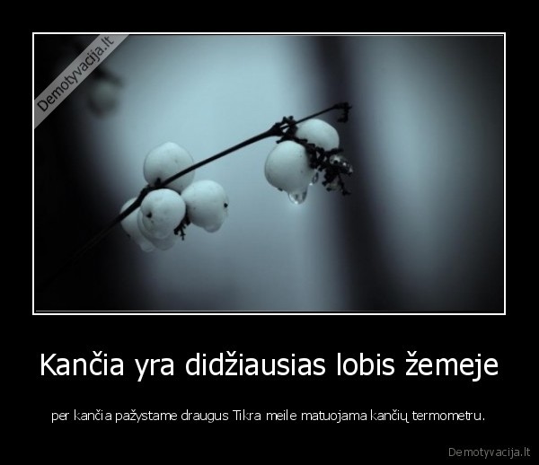 kanca,draugas,meile,termometras