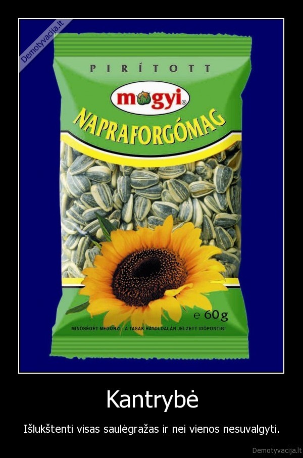 saulegrazos,kantrybe,yes,myliu,skanu