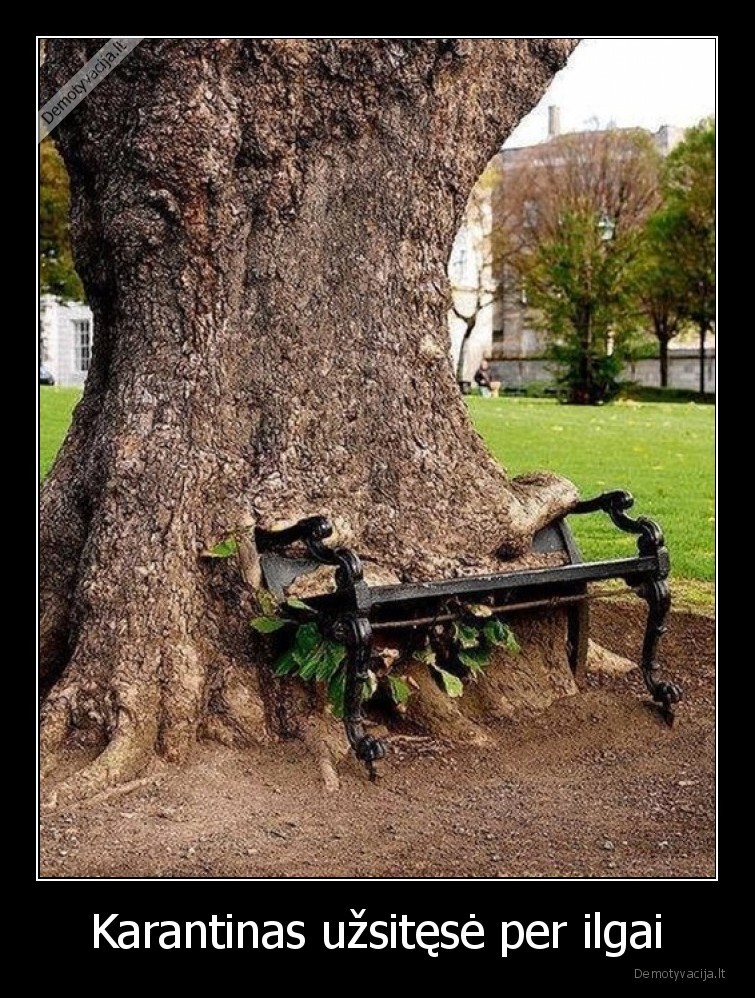 karantinas,pandemija,medis,suolas