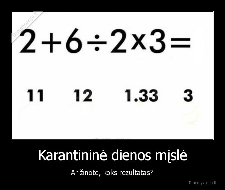 matematika,misle,diena,karantinas