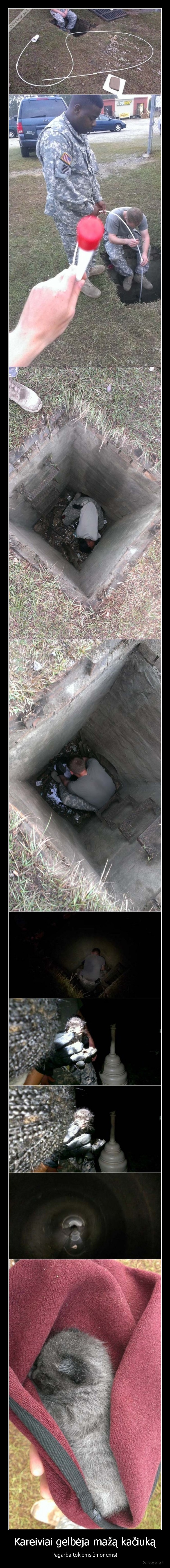 kaciukas,katinas,kareiviai,gelbejimo, operacija