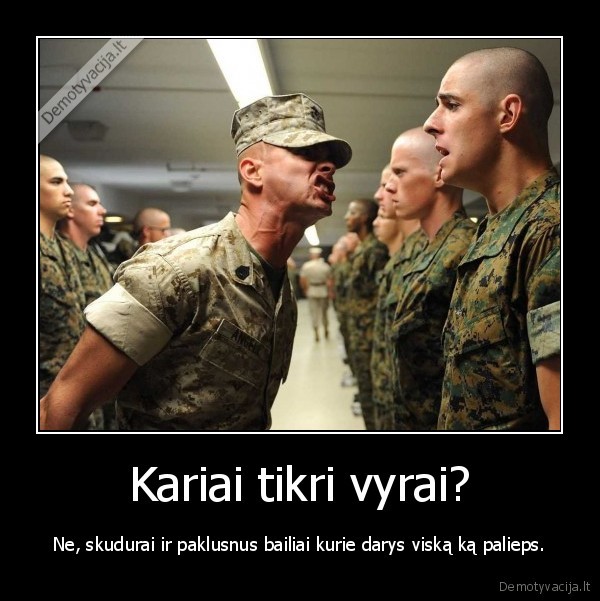 kariai, paklusnus, bailiai