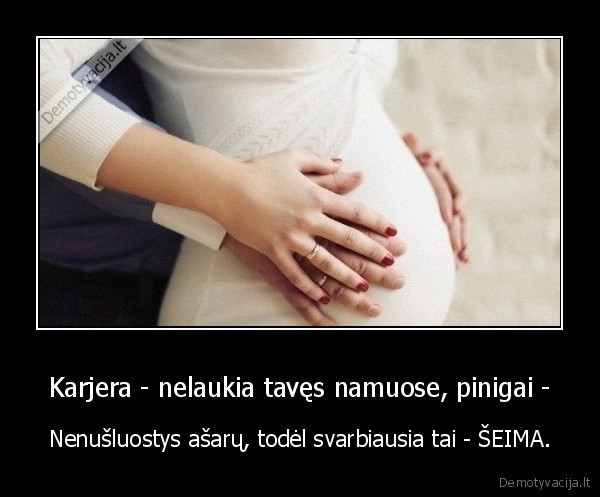 seima,pinigai,karjera