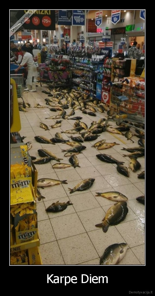 saskambis,carpe, diem,zuvys,nepasiseke