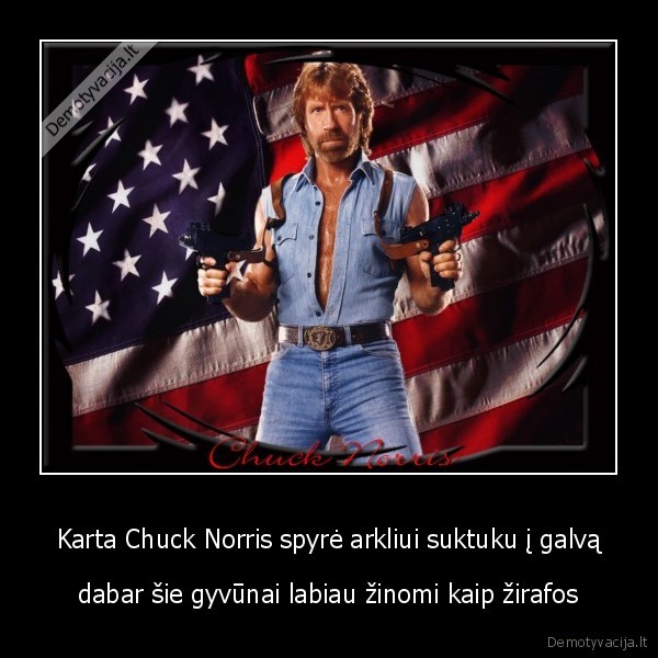 Karta Chuck Norris spyrė arkliui suktuku į galvą