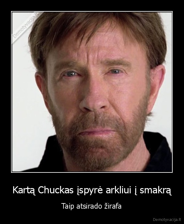 chuck,norris,zirafa,arklys