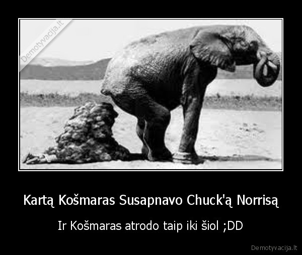 chuck, norris,dramblys