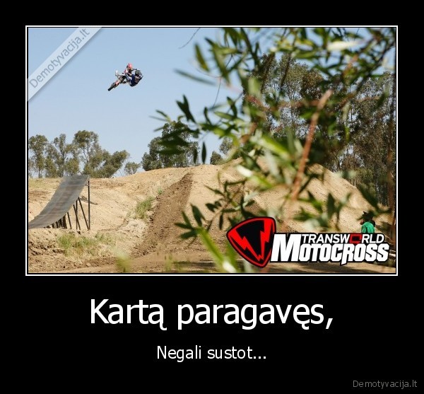 mx,valdo,bet,kubilius,gaidys,d