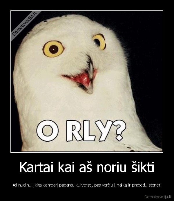 gyvenimas, ziaurus, protingas, visi, mes, protingi