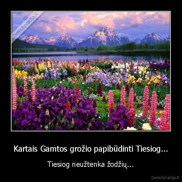 Kartais Gamtos grožio papibūdinti Tiesiog...