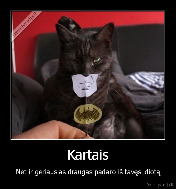 betman,betmanas,kate,katinas