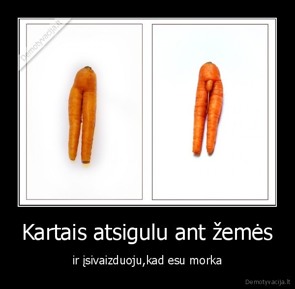 valgykit, morkas, vaikai