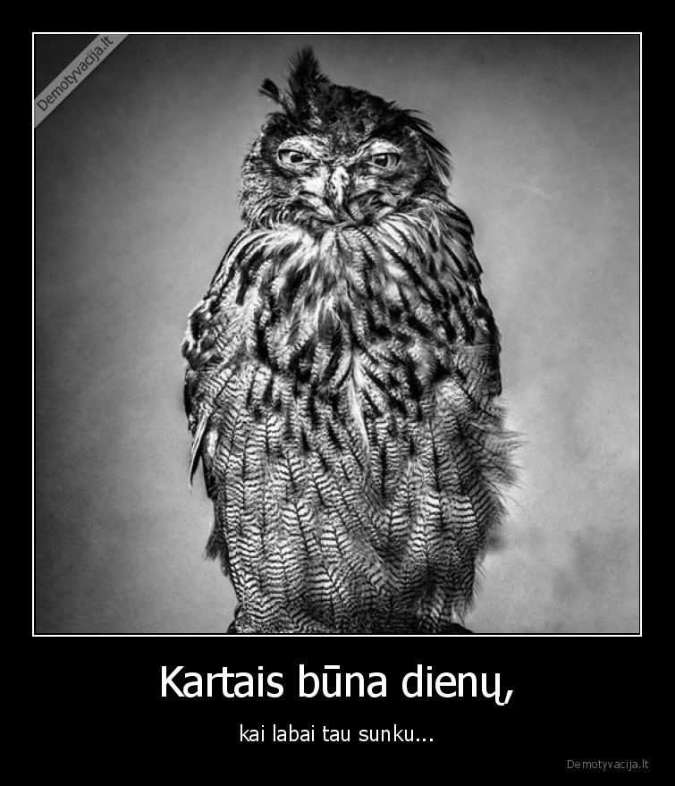 dienos,tos,sunkios,buna,sunku