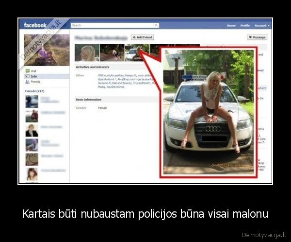 policija,vis,dazniau,domisi,facebook,paskyromis