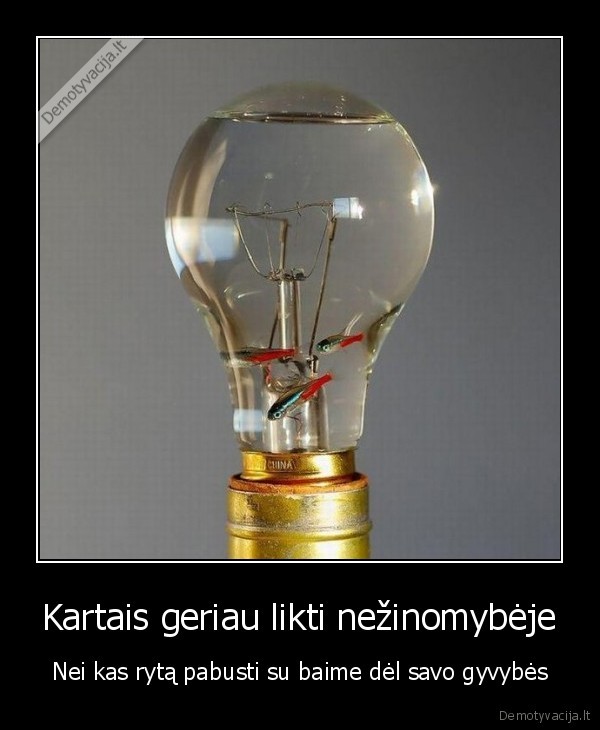 nezinomybe,gyvybe,baime