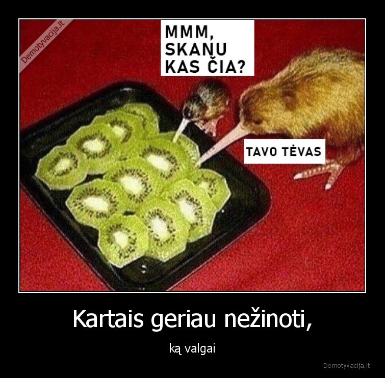 maistas,kivis,kiviai