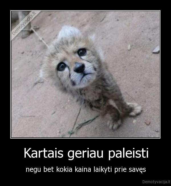 Kartais geriau paleisti