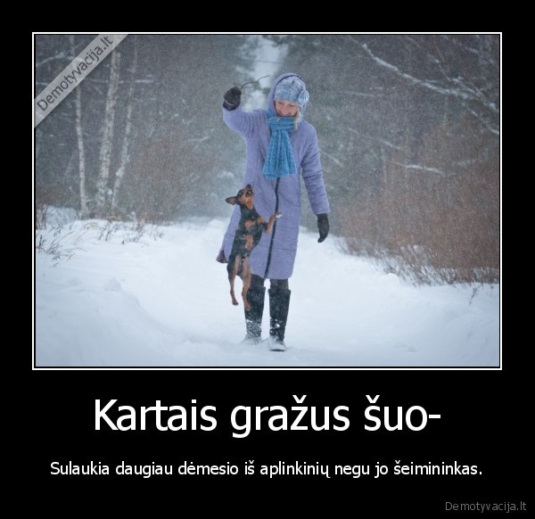 suo,seimininkai,pavydasd