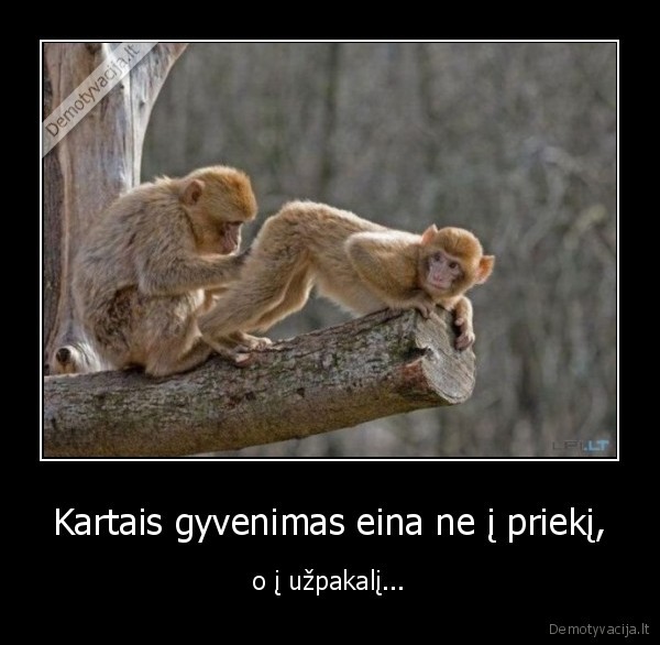 Kartais gyvenimas eina ne į priekį,