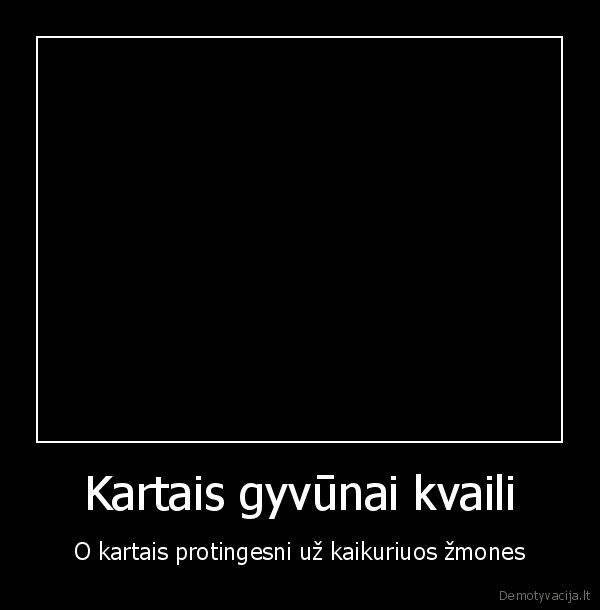 suo,kalbantys, gyvunai,gyvunas