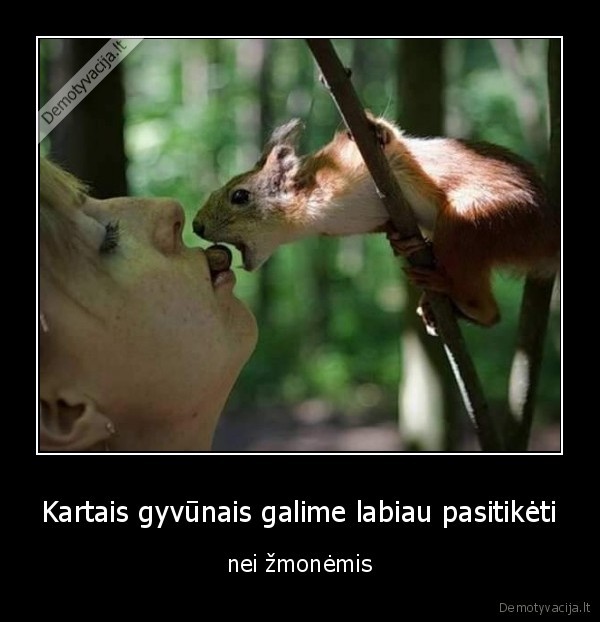 gyvunai,pasitikejimas,zmogus