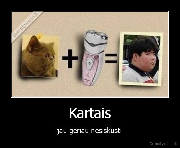 fat, boy,skutimasis,gillete,indian,kitty,indas,kaciukas