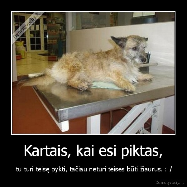 zmones,saugokit,gamta