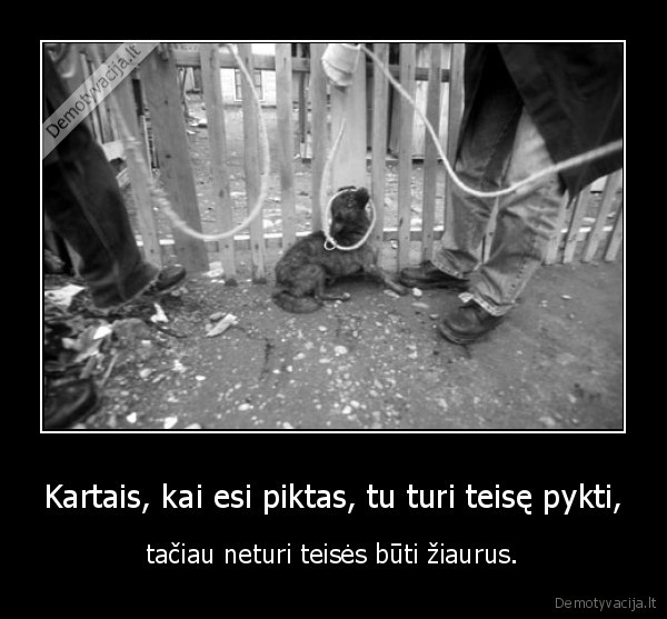 Kartais, kai esi piktas, tu turi teisę pykti,