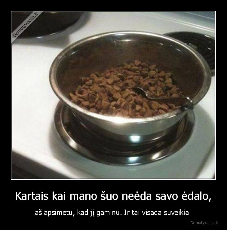 suo,needa,edalas,gaminu,maistas,sunys,augintiniai,gyvunai