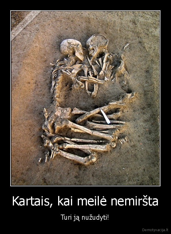 silpni, nervai, sarkazmas, cia, ne, awww