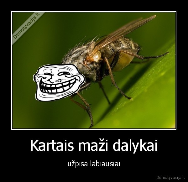 muse,vasara,rytas,miegas,uzknisa,muses