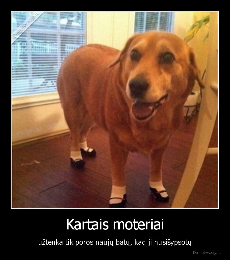 sypsena,mergina,moteris,nauji, batai,batai,uztenka