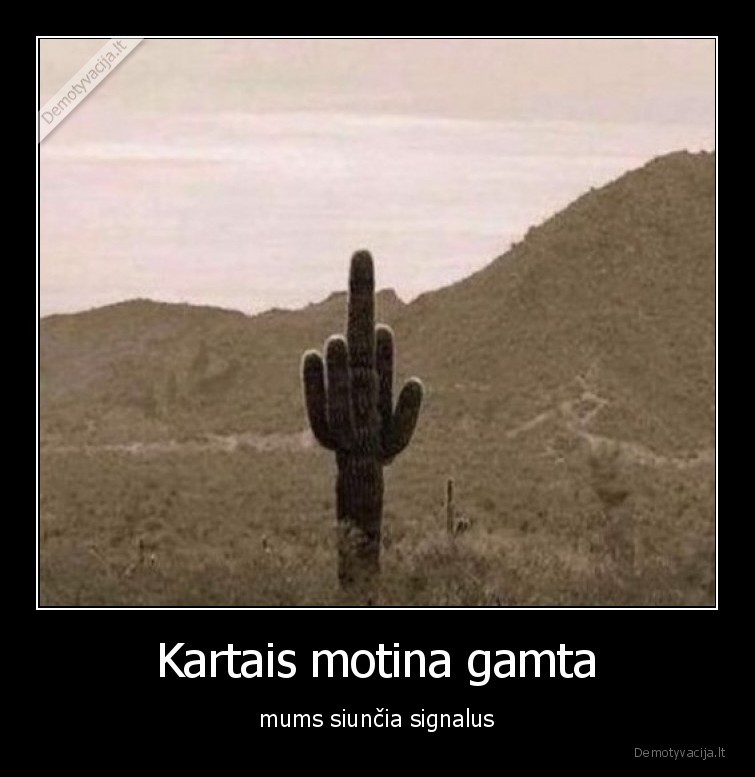 kaktusas,gamta,pirstas,fakas