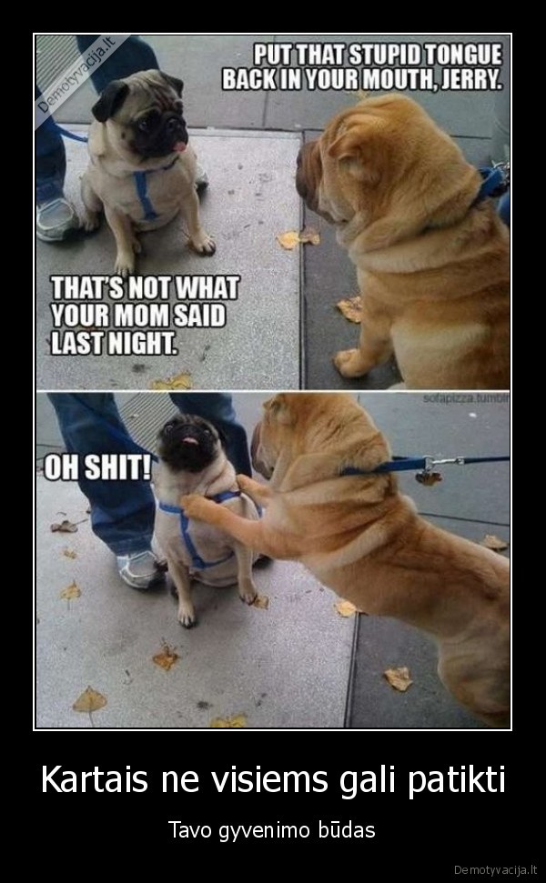 Kartais ne visiems gali patikti