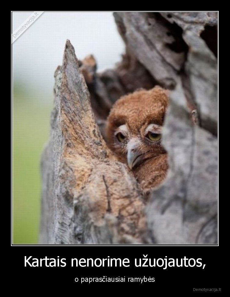 ramybe,uzuojauta,kartais,reikia,norime