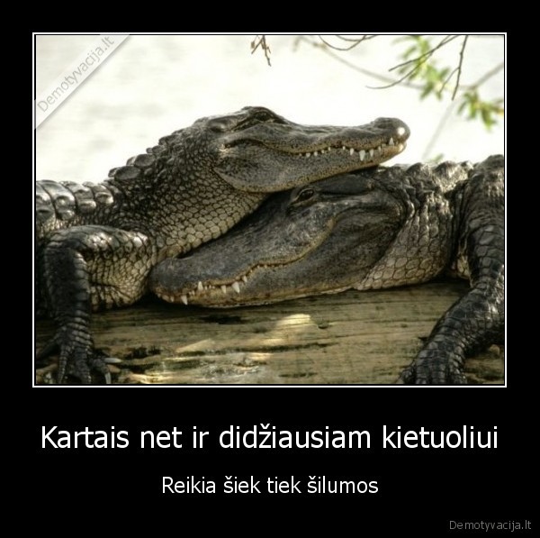 Kartais net ir didžiausiam kietuoliui