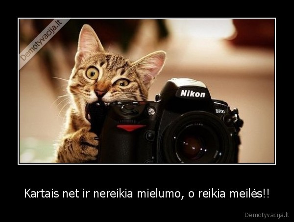 Kartais net ir nereikia mielumo, o reikia meilės!!