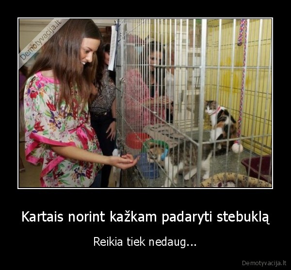 Kartais norint kažkam padaryti stebuklą