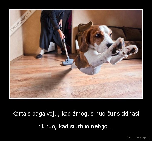 suo, ir, siurblys,sunys,zmogiskumas