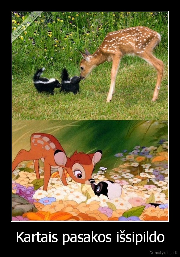 pasaka,bembis,skunkai,issipildo