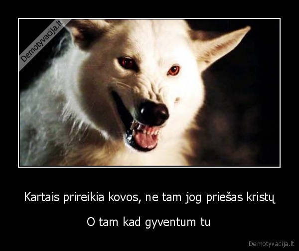 Kartais prireikia kovos, ne tam jog priešas kristų