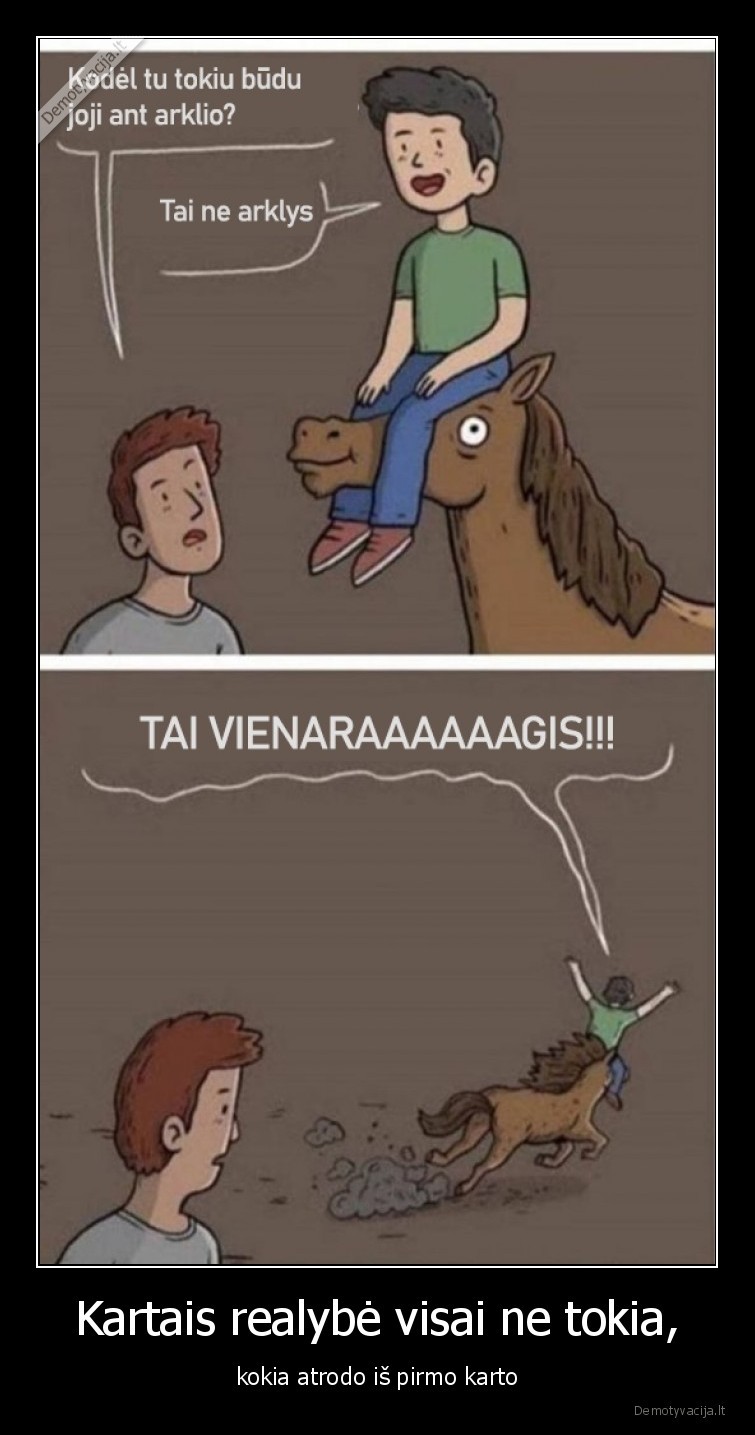 vienaragis,arklys,joja,lietuvaiciai