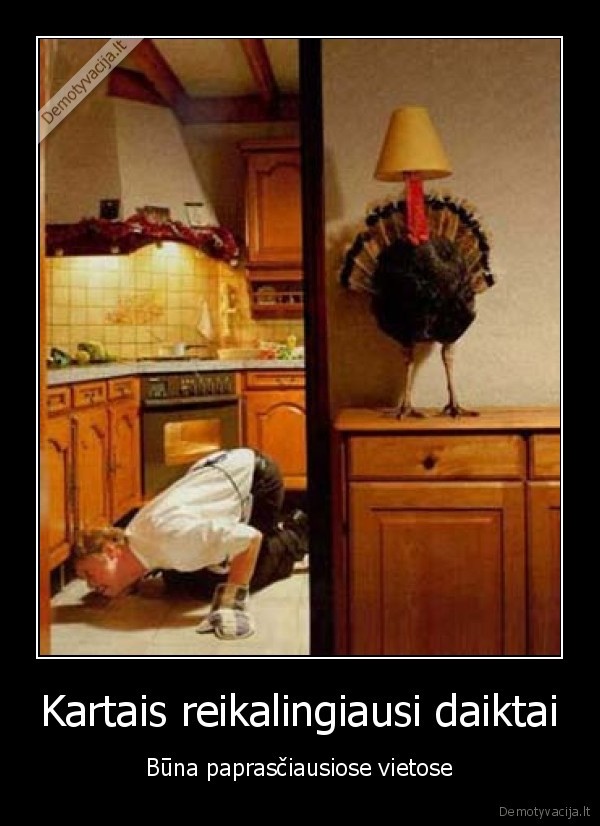 kalakutas,daiktas,pasislepti,juokinga,bajeris