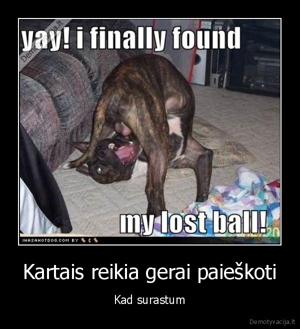 stai, ir, jis, bingo