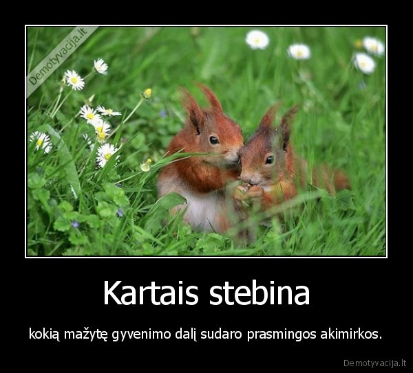 gyvenimas,akimirkos,prasme