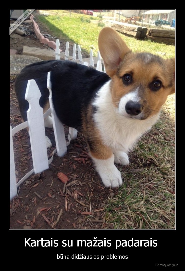 suo,uzstrigo,problema