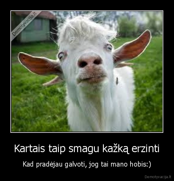 Kartais taip smagu kažką erzinti