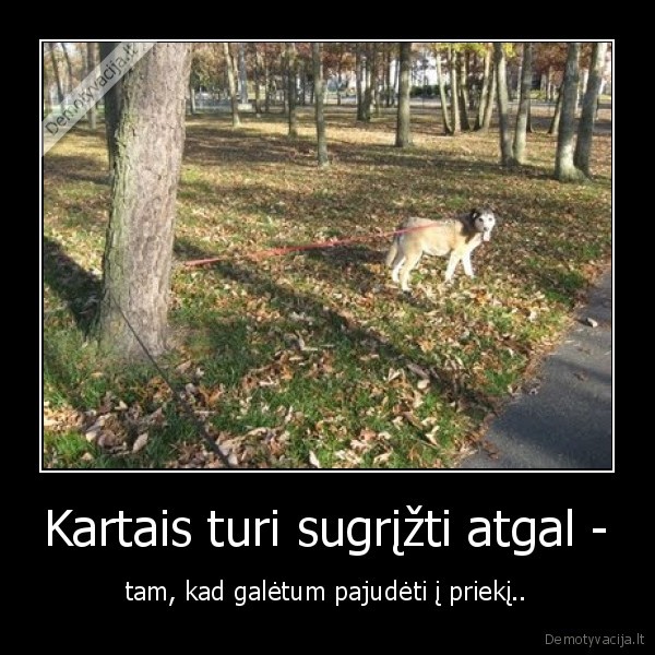 Kartais turi sugrįžti atgal -