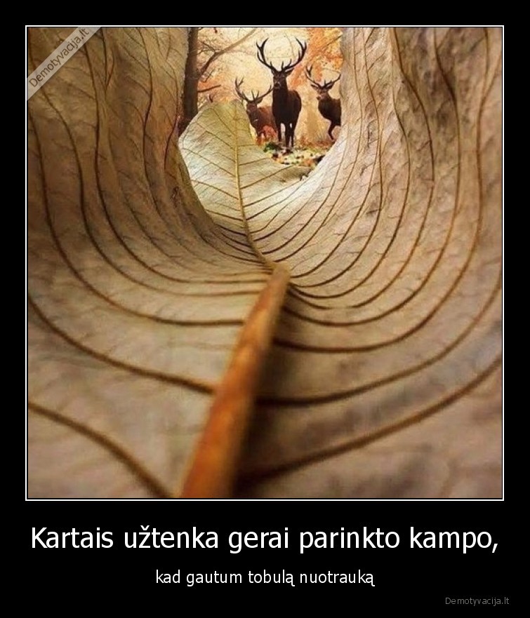 tobula,nuotrauka,wow