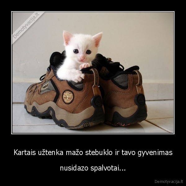 Kartais užtenka mažo stebuklo ir tavo gyvenimas